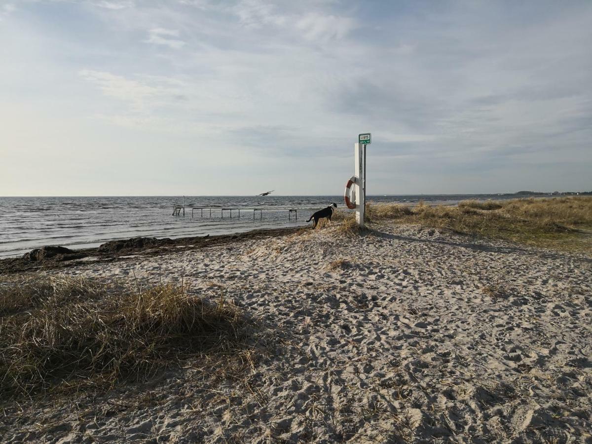 Spurvereden Ved Vandet Greve Bagian luar foto