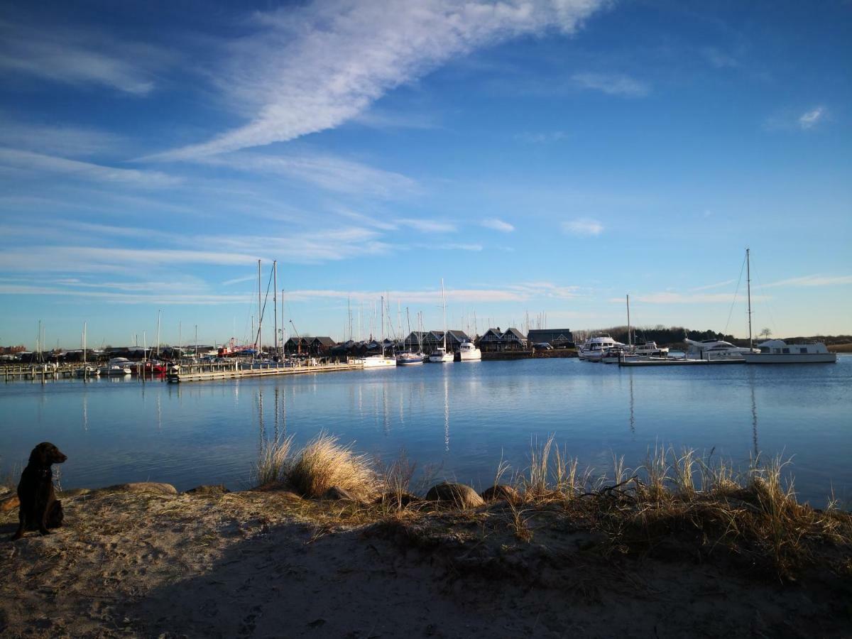 Spurvereden Ved Vandet Greve Bagian luar foto
